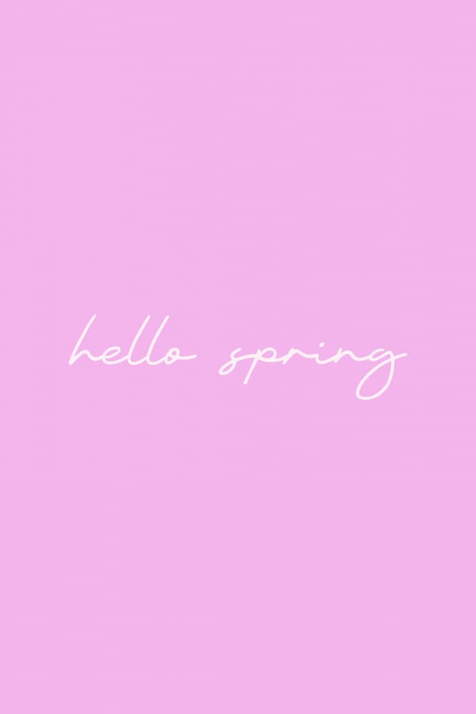 Pink Hello Spring Script by Karen Menzenbach — canvas wall art