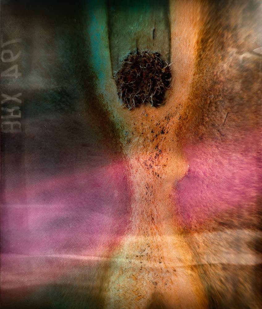 Vibrant Abstract Texture by Shenshen Dou — canvas wall art