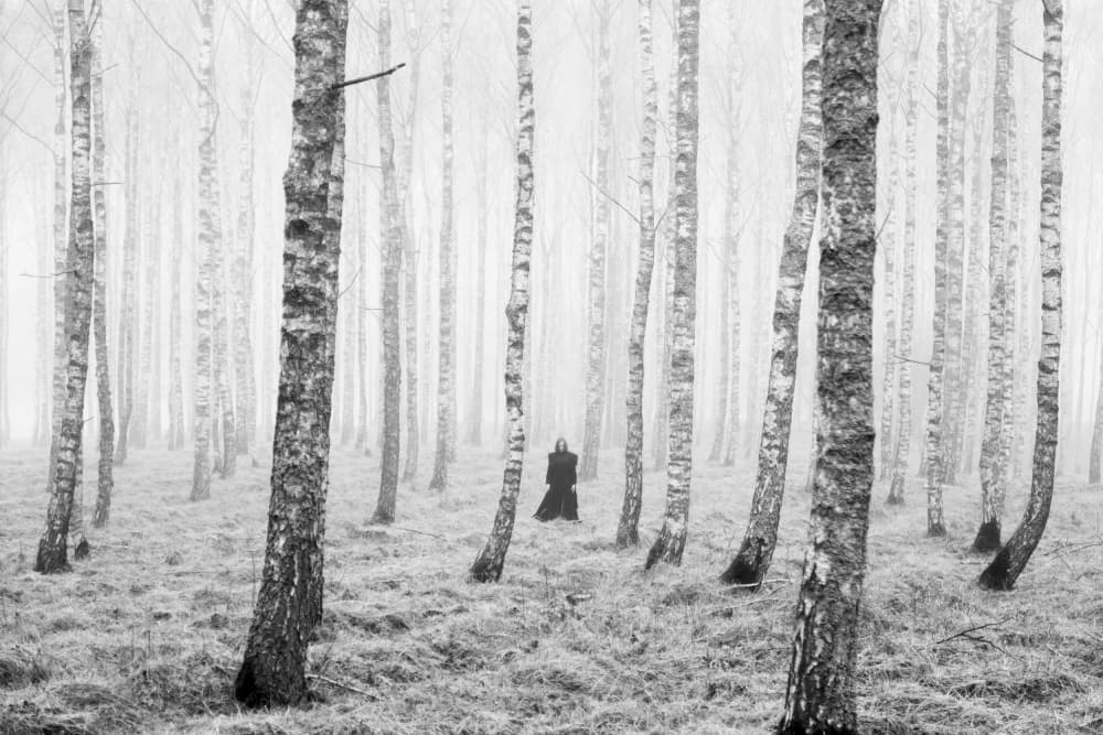 Solitary Figure Misty Birches by Leszek Paradowski — canvas wall art