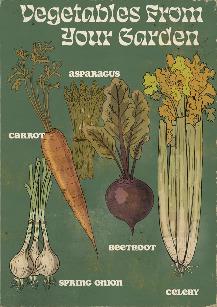Garden Fresh Vegetables by Nicholas — canvas wall art