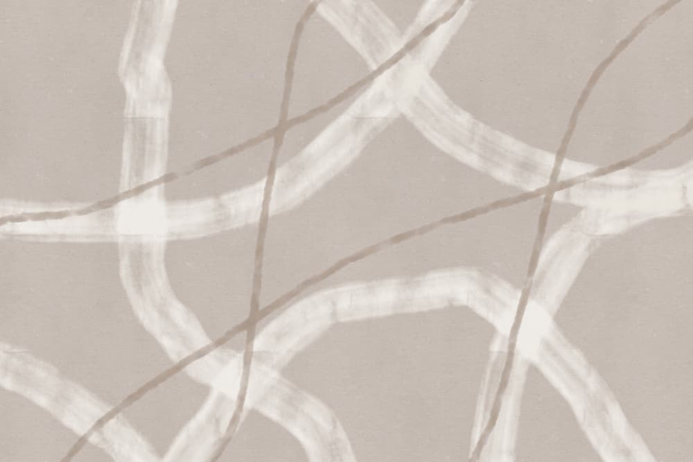 Flowing Abstract Lines by Dina Dankers — canvas wall art