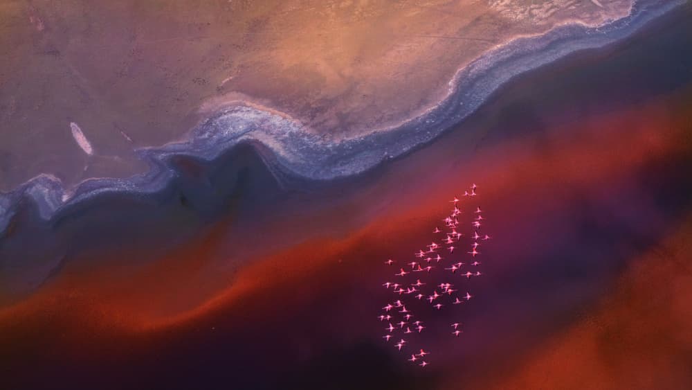 Flying Flamingos Vibrant Lake by Sheila Xu — canvas wall art
