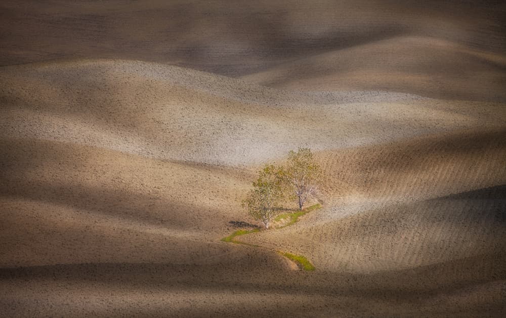 Serene Rolling Hills by Peter Svoboda MQEP — canvas wall art