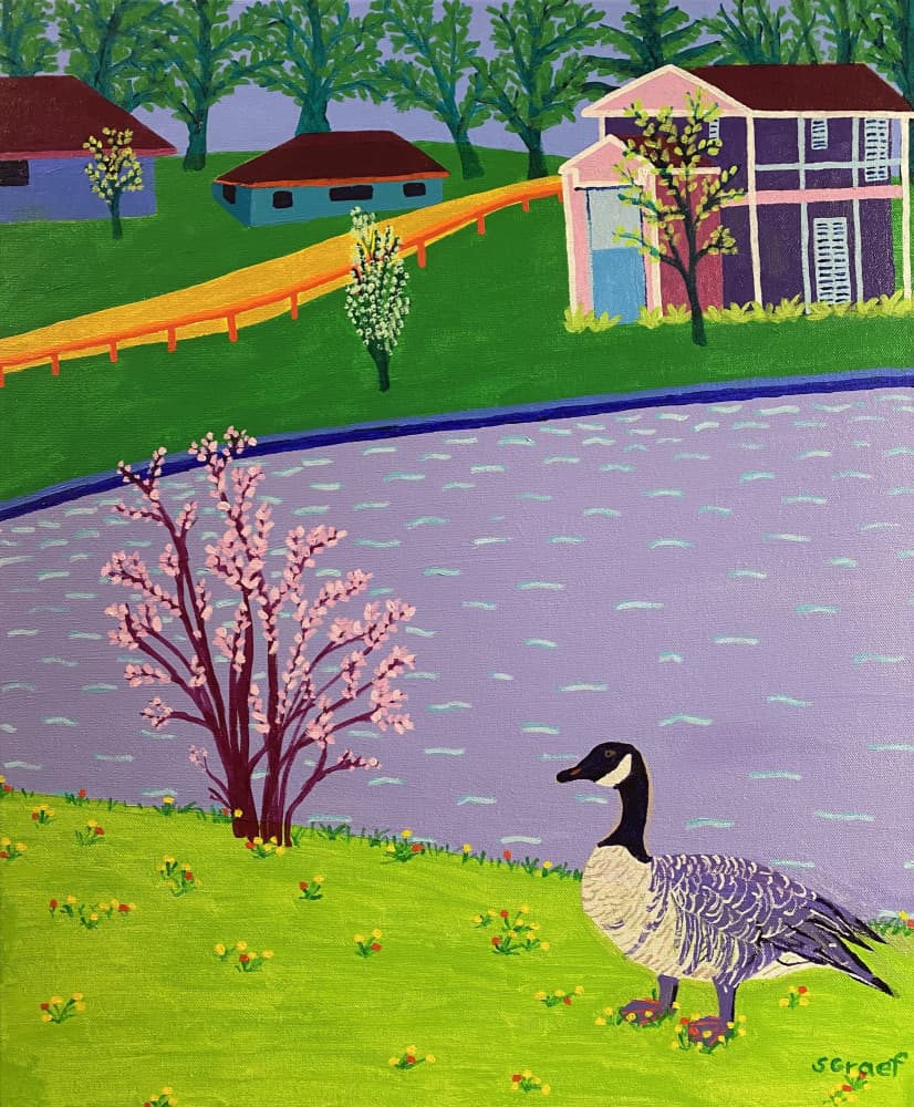 Canadian Goose by Sue Graef — canvas wall art