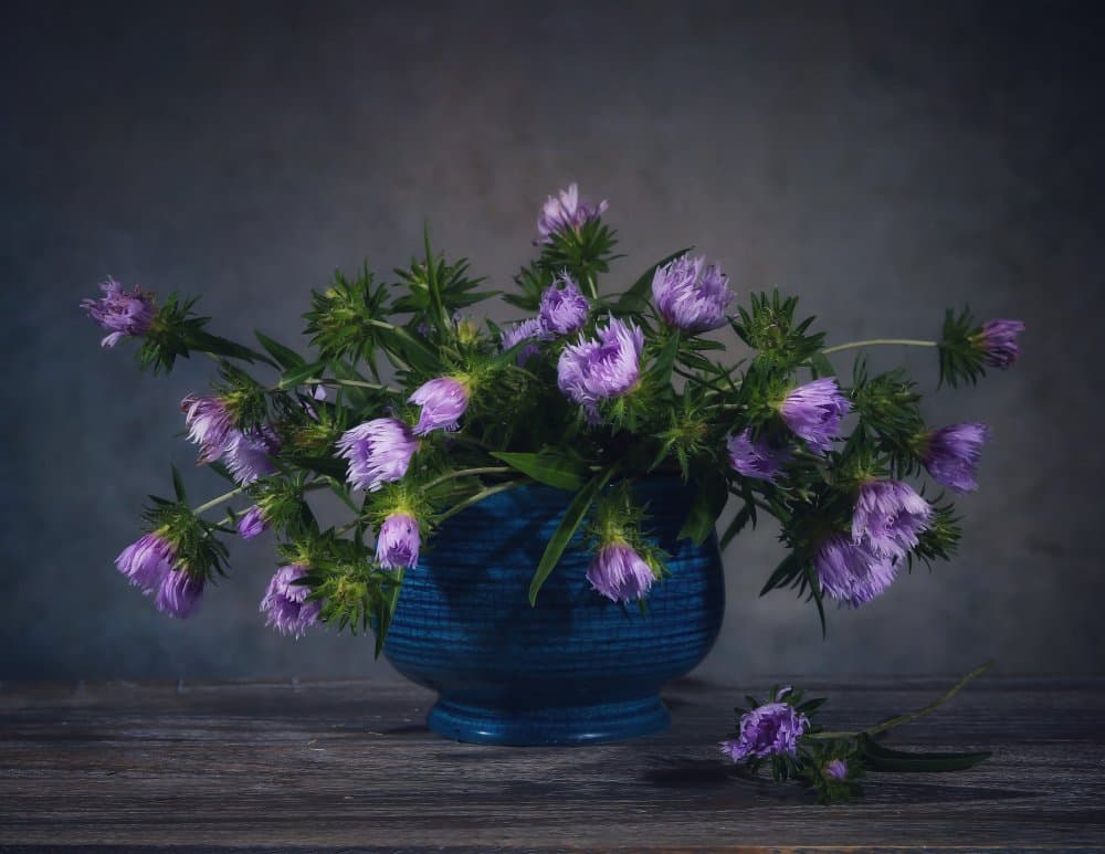 Lavender Thistles Still Life by Fangping Zhou — canvas wall art