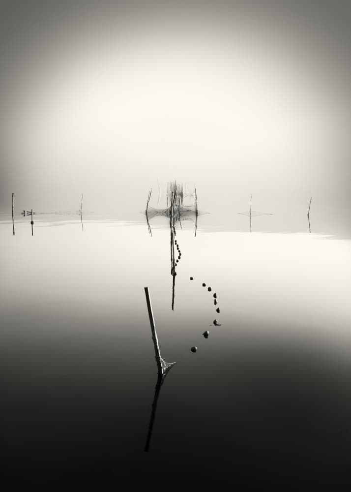 Misty Poles Reflection by Walter Caterina — canvas wall art