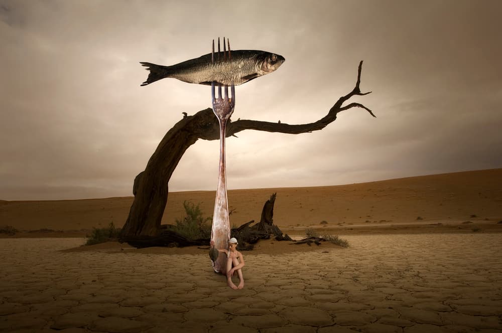 Surreal Desert Fish by Christine von Diepenbroek — canvas wall art