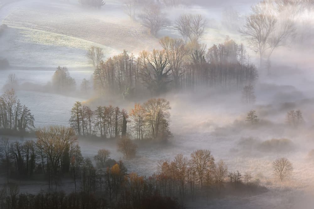 Golden Morning Mist by Fabrizio Daminelli — canvas wall art