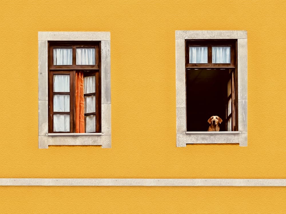 Facade - Porto, Portugal by Arnon Orbach — canvas wall art