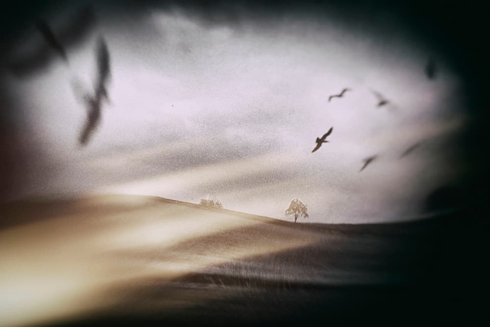 Dramatic Sky Flying Birds by Krisztina Lacz — canvas wall art