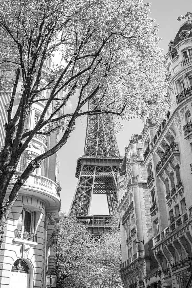 Parisian Street Eiffel Tower by Léa Lefebvre — canvas wall art