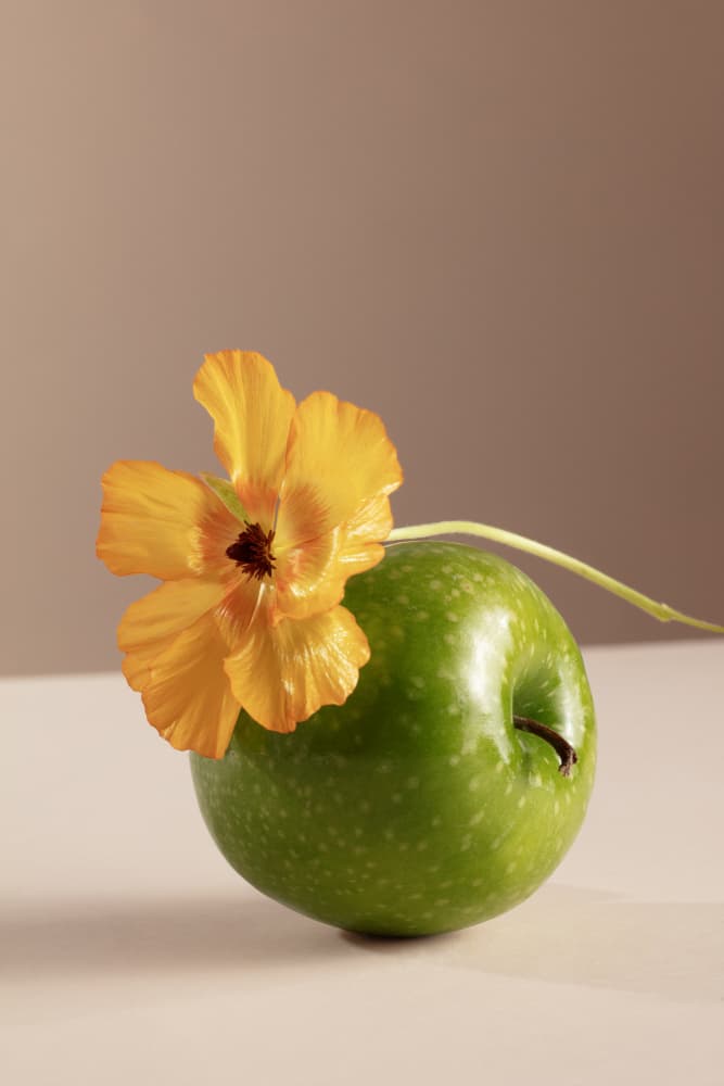 Green Apple Bloom by Julia Ramiro — canvas wall art