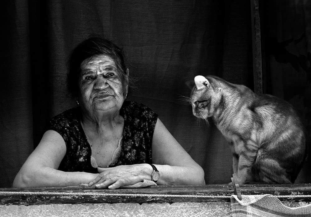 Timeless Portrait With Cat by Ezequiel59 — canvas wall art