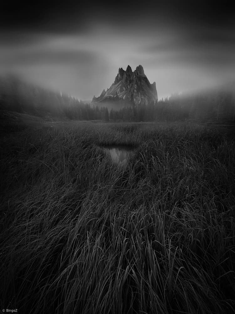 Misty Mountain Peaks by Bingo Z — canvas wall art