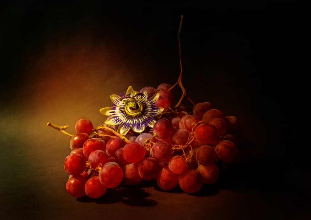 Rich Grapes Passion Bloom by Ludmila Shumilova — canvas wall art