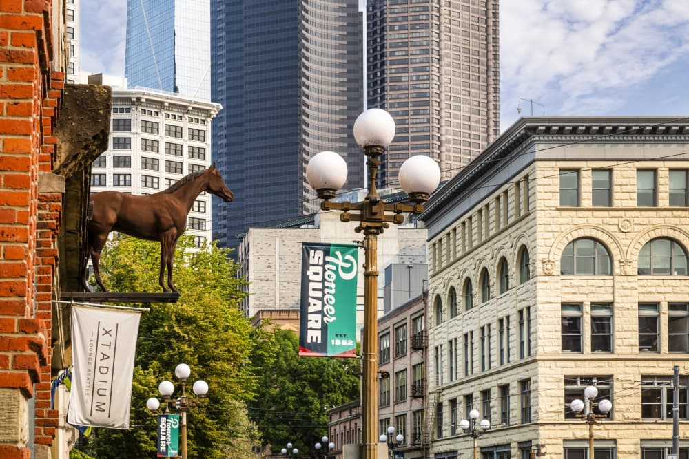 Seattle Pioneer Square Horse by Melanie Viola — canvas wall art
