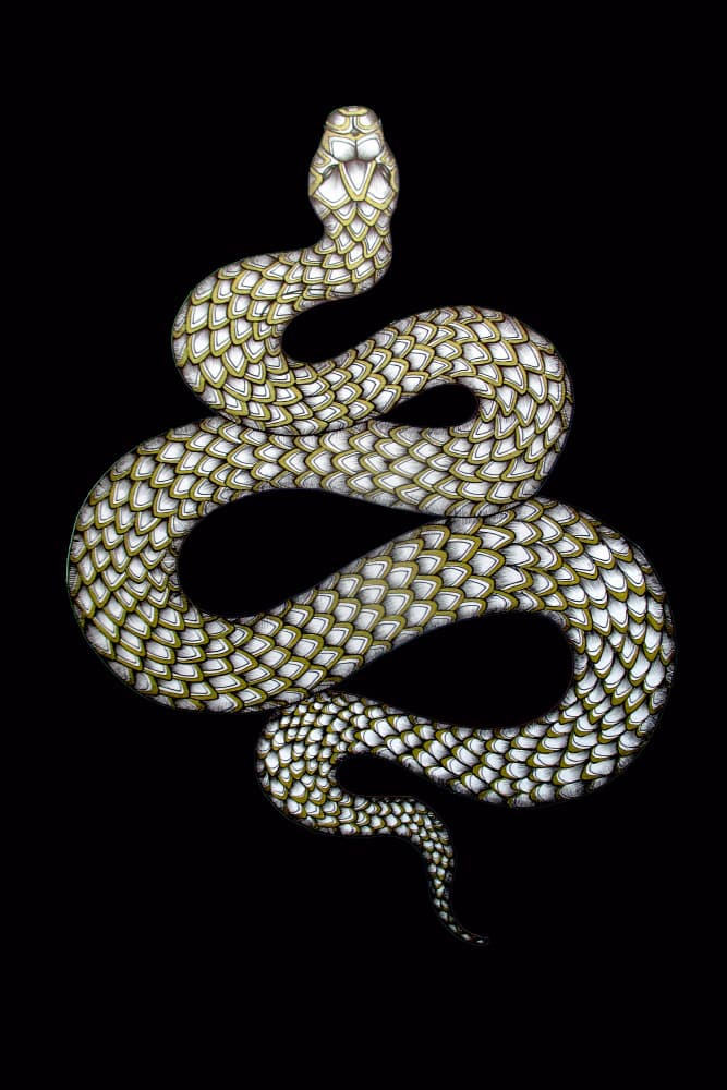 Golden Scaled Snake by EC Mazur — canvas wall art