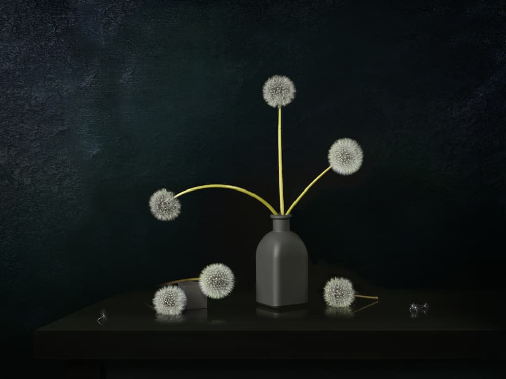 Dandelion Still Life by Juan Antonio Palacios — canvas wall art