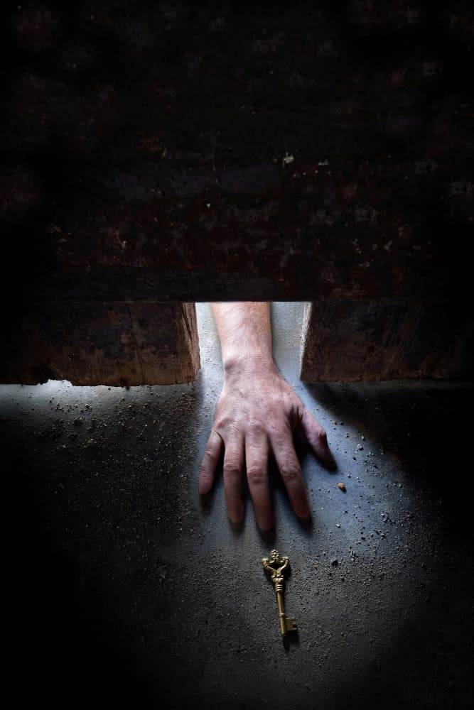 Reaching for the Key by Florentinus Joseph — canvas wall art