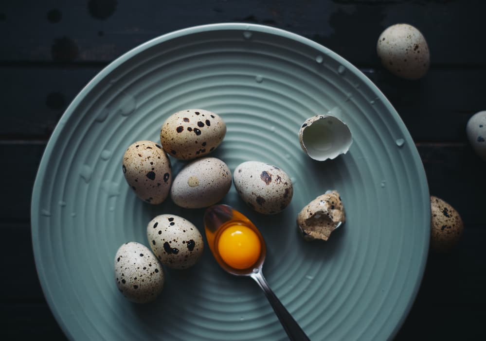 Rustic Quail Eggs Blue Plate by Karina Aleksandrova — canvas wall art