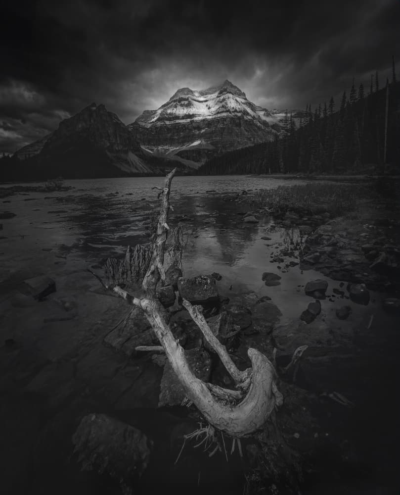 Moody Mountain Lake Driftwood by Bing Li — canvas wall art