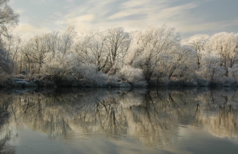Frosted River Reflections by Jacek Stefan — canvas wall art