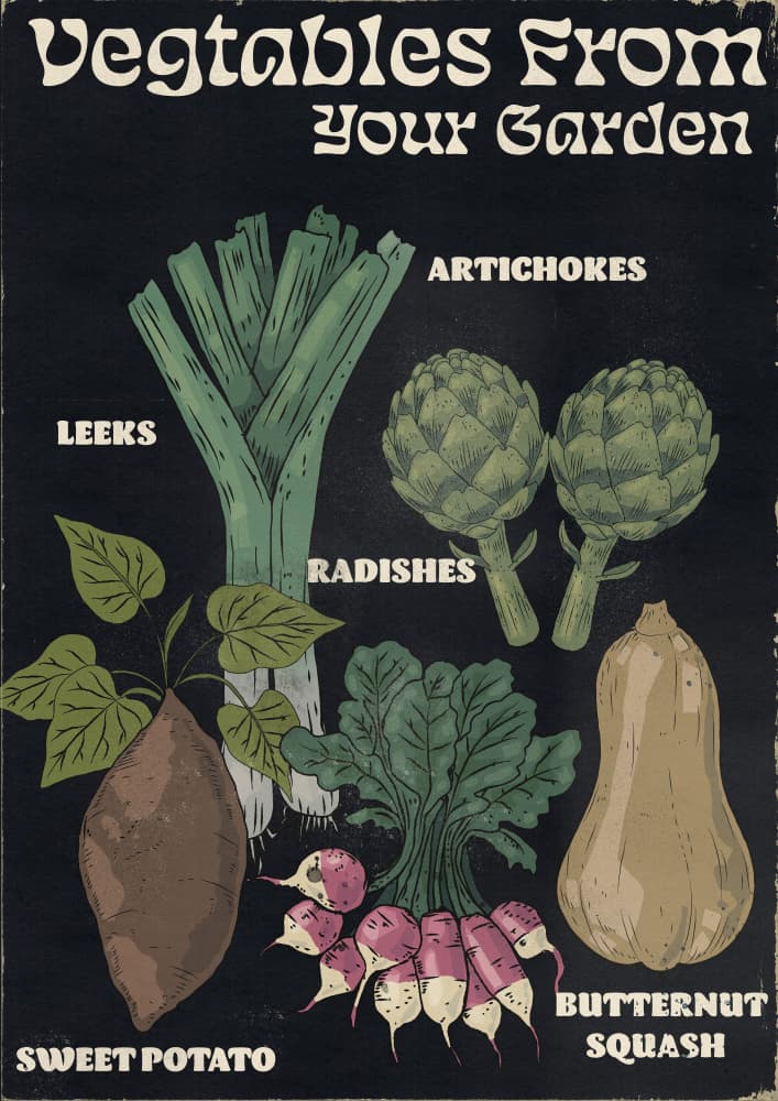 Garden Fresh Vegetables by Nicholas — canvas wall art