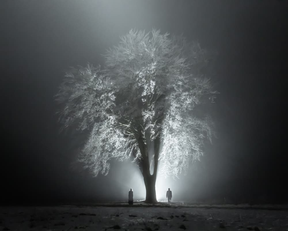 Frosted Tree Night Glow by Leszek Paradowski — canvas wall art