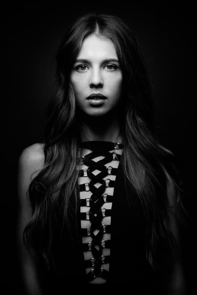 Dark Fashion Portrait by Artem Vasilenko — canvas wall art