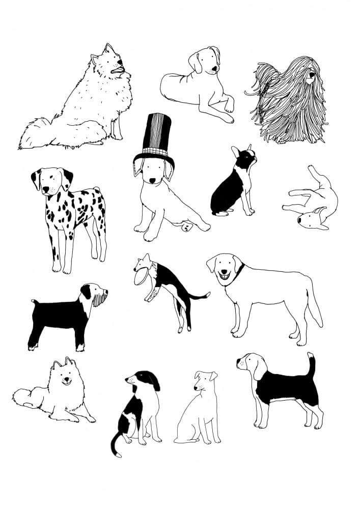 Playful Dog Illustrations by Hanna Melin — canvas wall art