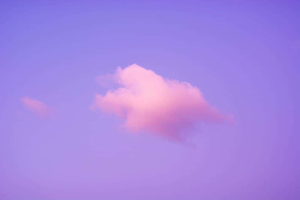 Pink Cloud Dream by Tal Paz-Fridman — canvas wall art