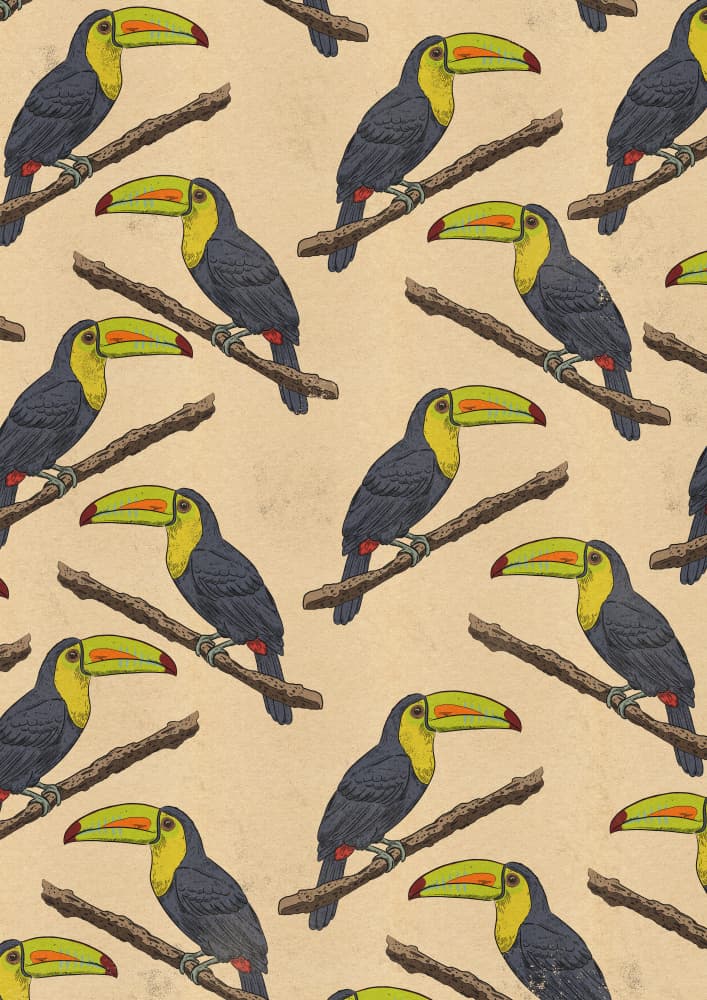 Tropical Toucan Pattern by Nicholas — canvas wall art