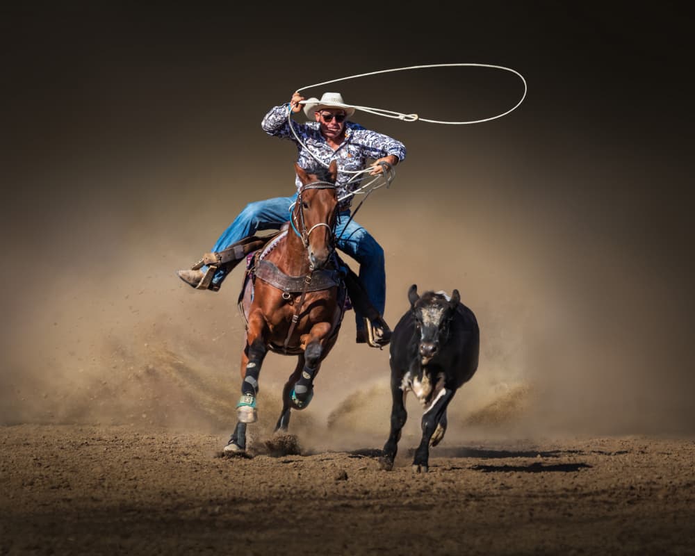 Cowgirl Roping Calf by Irene Wu — canvas wall art