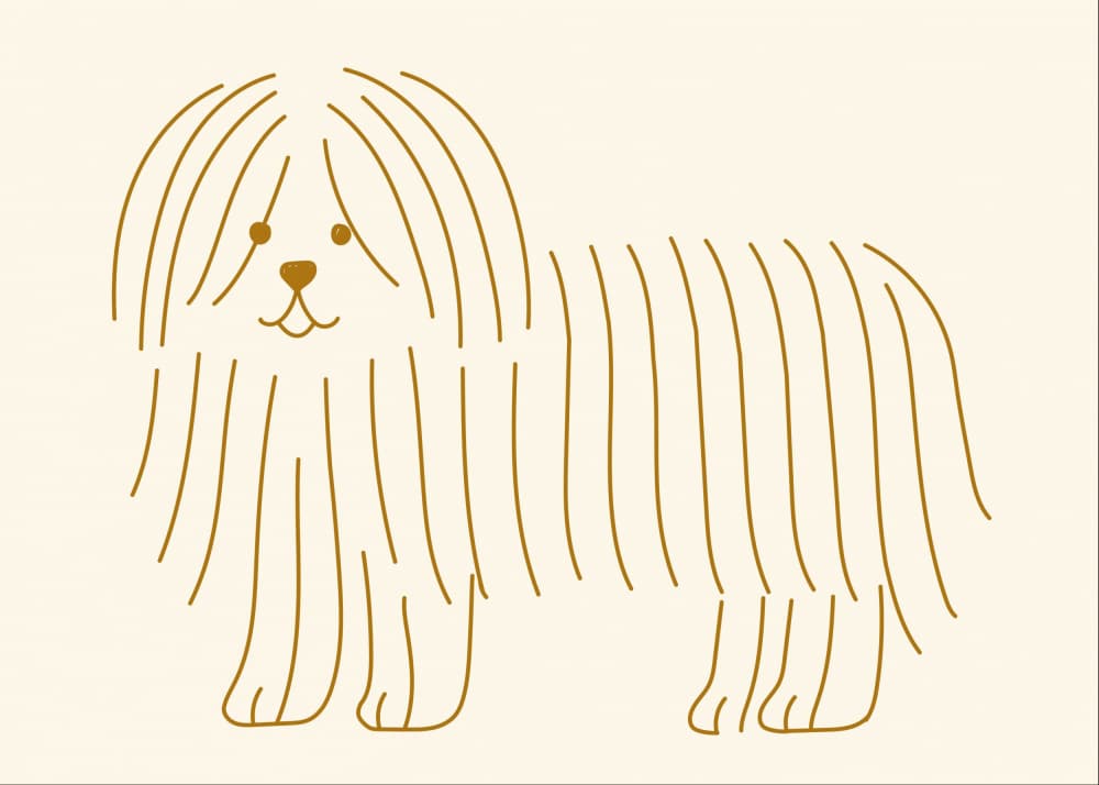 Friendly Shaggy Puppy by Silvia Visscher — canvas wall art