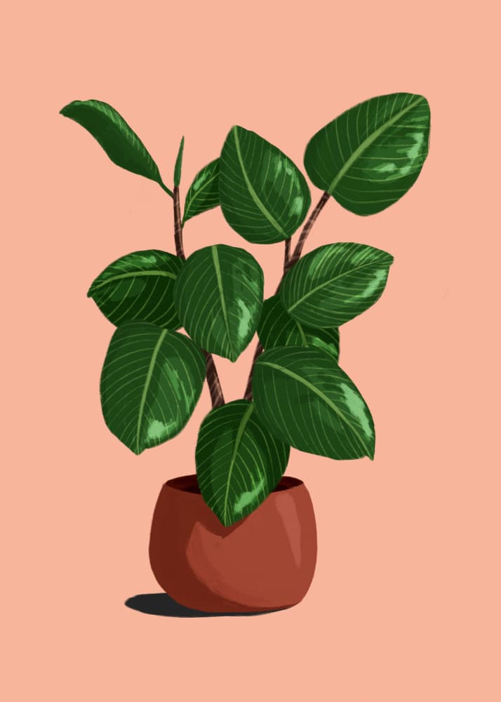 Vibrant Potted Plant by ByKammille — canvas wall art
