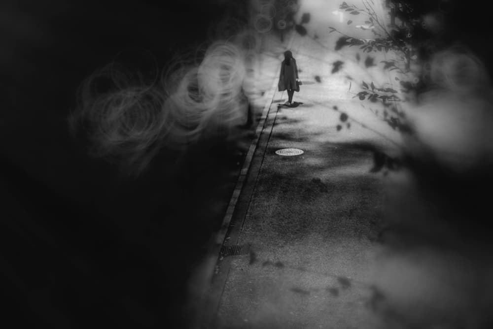 Solitary Night Walk by Teruhiko Tsuchida — canvas wall art