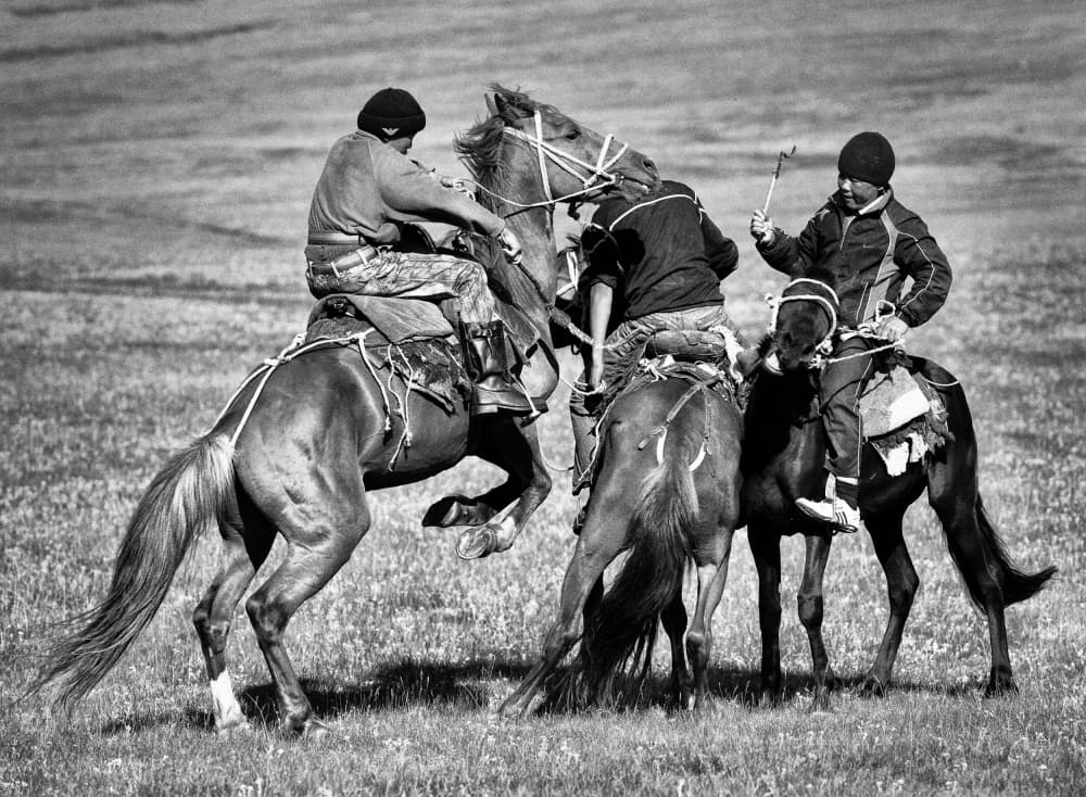 Nomadic Horsemen Contest by Garik — canvas wall art