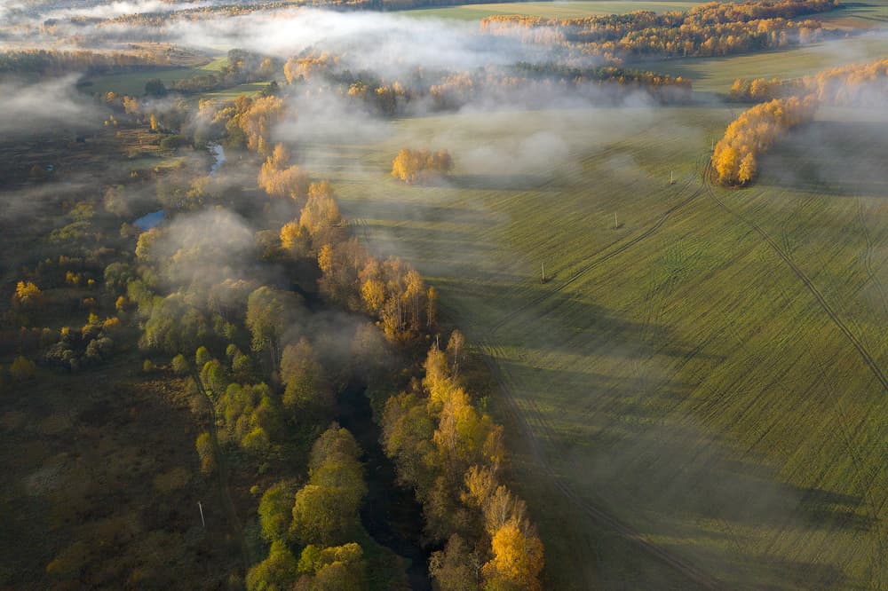 Misty Autumn River Landscape by Dmitry Doronin — canvas wall art