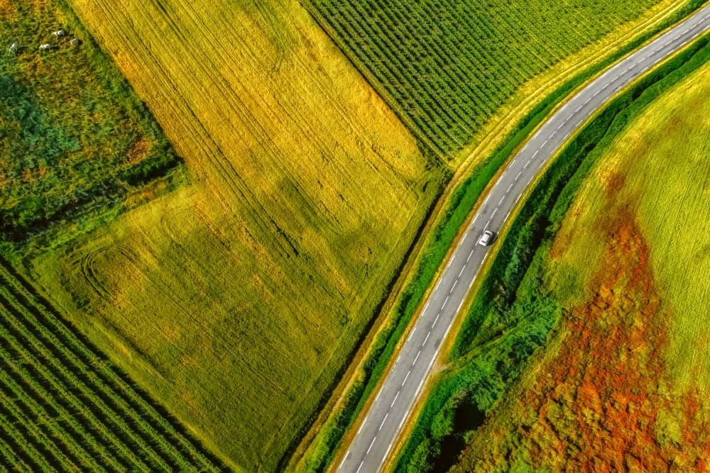 Winding Road Through Fields by Primož Kožuh — canvas wall art