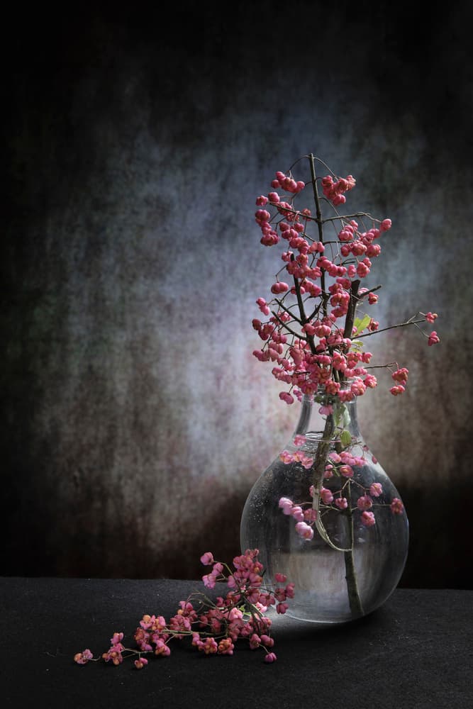 Pink Berries Still Life by Martine Benezech — canvas wall art