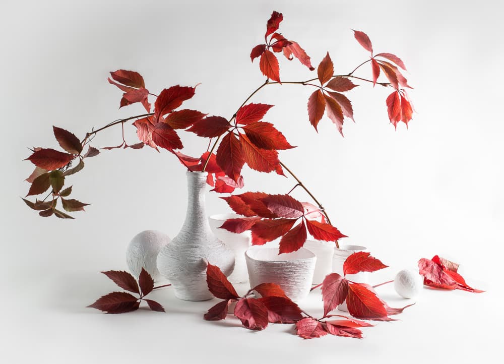 Autumn Red Still Life by Evgeniy Popov — canvas wall art