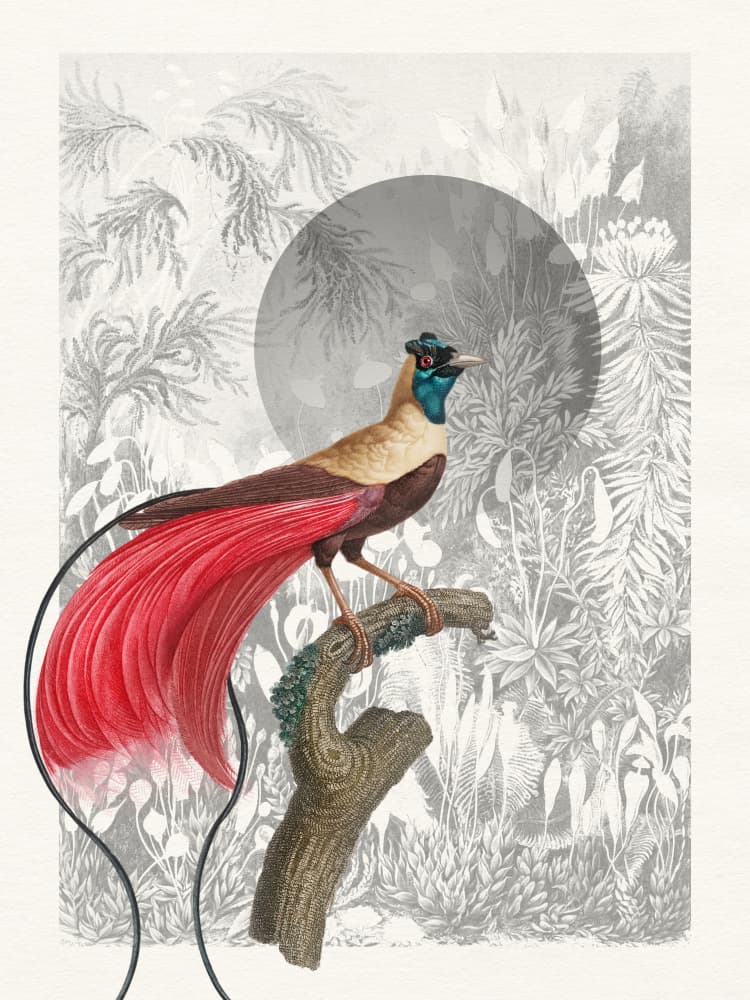 Moonlit Jungle Bird by Wild Violets — canvas wall art