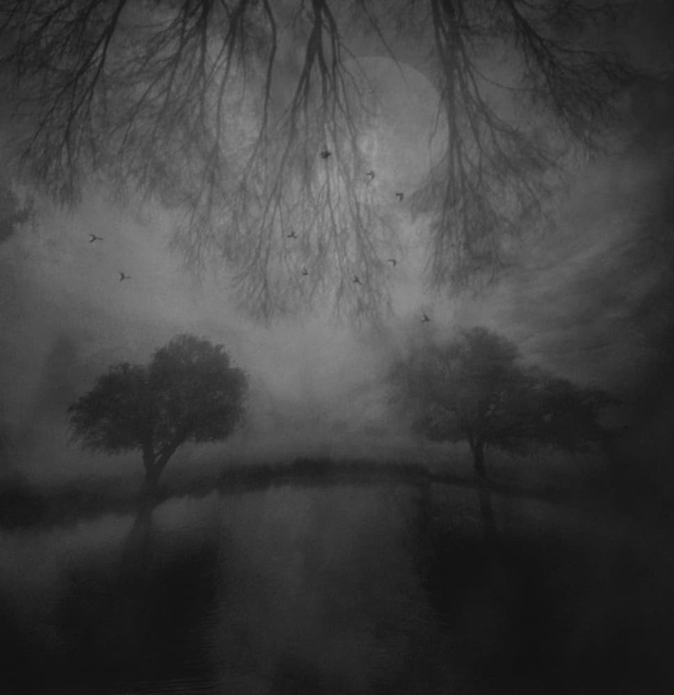 Misty Night Lake Trees by Robert Fabrowski — canvas wall art
