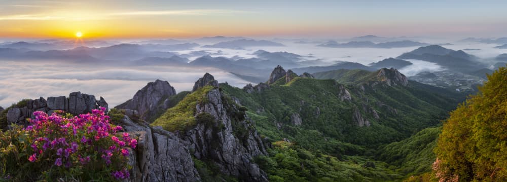 Flowering Mountain Sunrise by Jaeyoun Ryu — canvas wall art