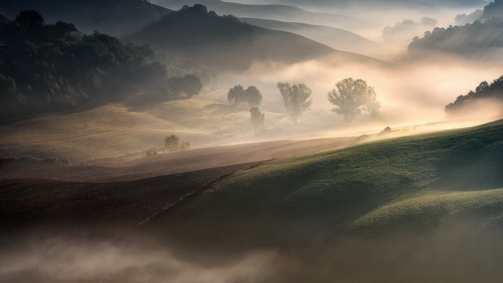 Misty Morning Hills by Adam Pachula — canvas wall art