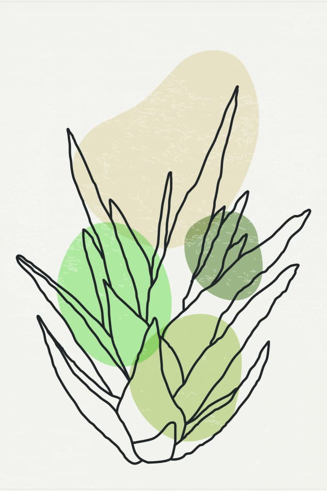 Abstract Botanical Lines by jay stanley — canvas wall art