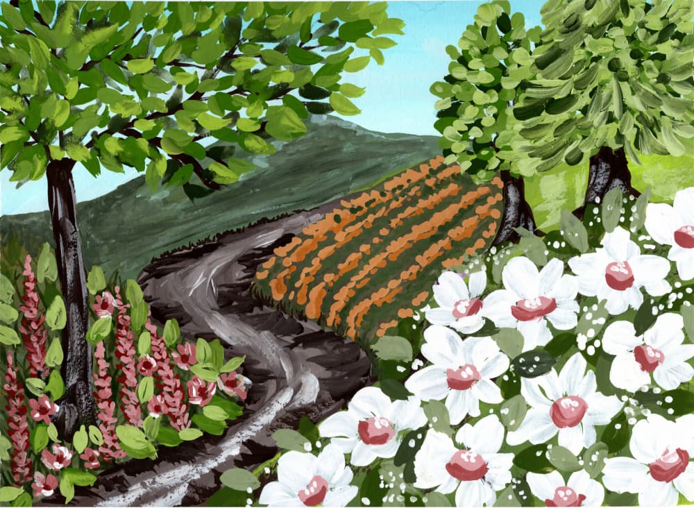 Vineyard Path with Flowers by Jasmine Goodwin — canvas wall art