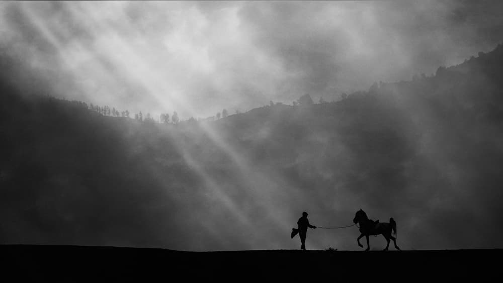 Misty Mountain Horseman by Gunarto Song — canvas wall art