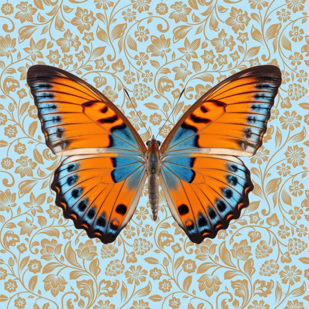 Butterfly #9 by Sue Skellern — canvas wall art