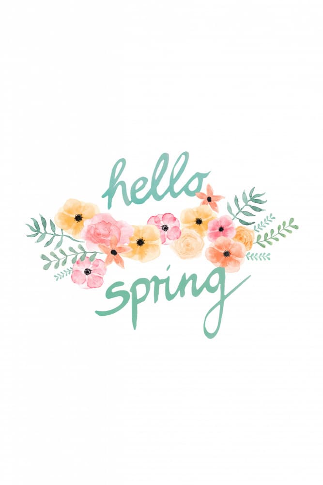 Hello Spring Flowers by Karen Menzenbach — canvas wall art